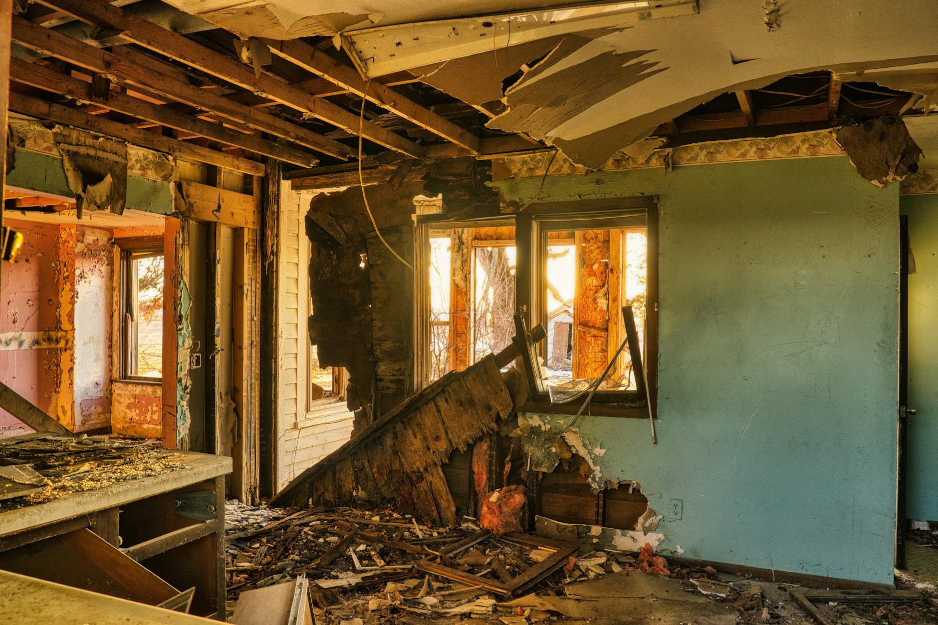Mold Removal Mold Gallery Littleton